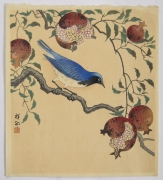Ohara Koson, (1877-1945), Blue and white flycatcher on a pomegranate branch, 1935, Unusually large shikishiban, Japanese hanga, Japanese shin hanga, Japanese woodblock print